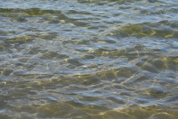 Schäumendes Wasser mit Gräsern an einem Seeufer