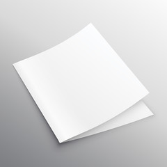blank mockup bi-fold or book template vector design