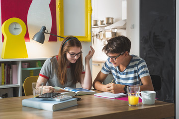 School day. Teenage boy and girl studying together at home.