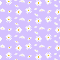 pattern of realistic daisies in different positions on pink background