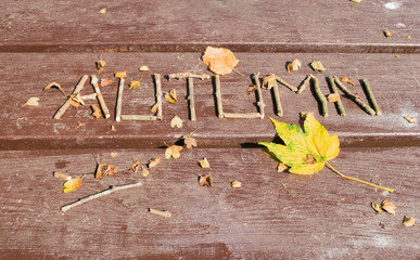 Autumn made of ree branches and fallen leaves.