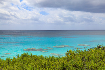 Bermuda Landscape