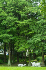 テーブルセットのある風景