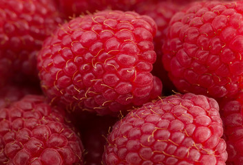 Close-up of fresh ripe organic raspberries
