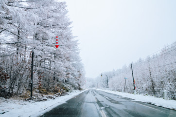 Obraz premium Amazing winter view along the road from Furano to Biei, located in Hokkaido, Japan famous for it's blue pond. Driving in Hokkaido is amazing, the road-trip was full with amazing view of natural scene.