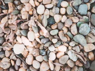 abstract background : small stone and dry leaf from gardening decoration