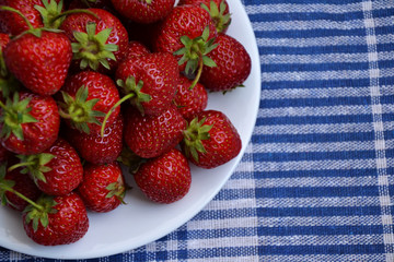 Strawberry berries country garden fresh organic harvest spring 1