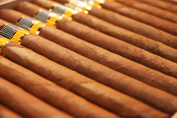 Cigars - Cuba