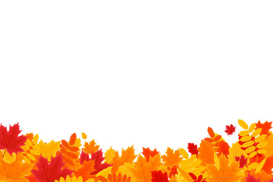Autumn leaves fallen. Vector Illustration Horizontal Banner. Space for Your Text.