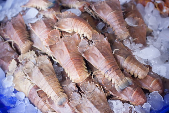 Flathead Lobster In Thailand Market