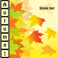 Naklejka na ściany i meble Background with maple autumn leaves