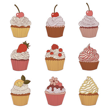 Elements of a cupcake.