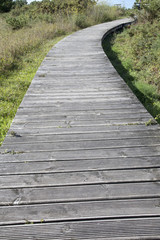 Obraz premium Footpath at Valdovino Beach, Galicia