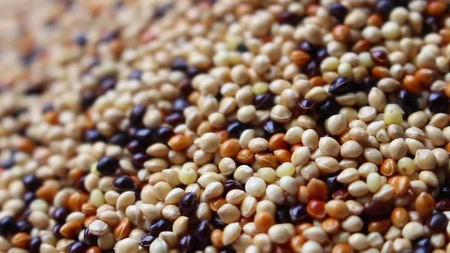 seeds background, rotation shot