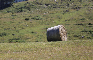 rolled hay bale