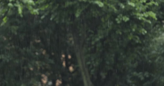 Slow motion handheld shot of heavy rain with blurred background