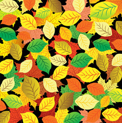Fototapeta na wymiar Autumn abstract background. Colorful leaves