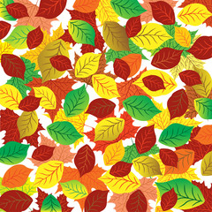 Autumn abstract background. Colorful leaves