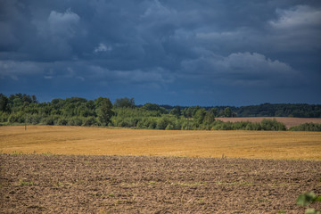 Obraz premium A beautiful country landscape with a wheat fields stretching into distance. Inspiring rural scenery at the end of summer.