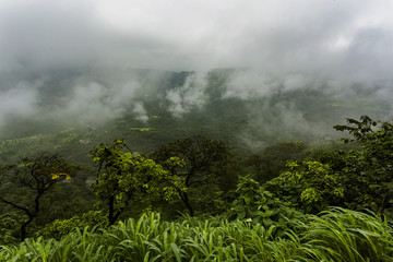 Green Valleys of Malshej