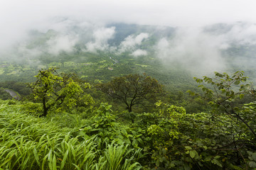 Green Valleys of Malshej