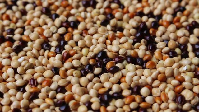 seeds background, rotation shot