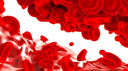 Red blood cells isolated on white background.