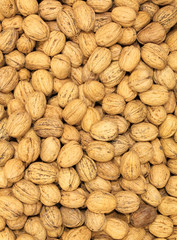 Background of many nuts collected