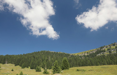 mountain panorama with green meadows and mountains in summer