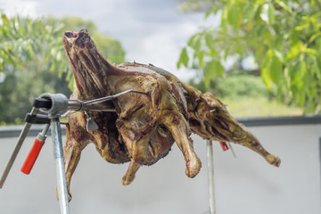 lamb grilling/roasted for sale or fiest