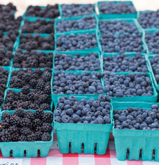 Fresh Blueberries and Blackberries