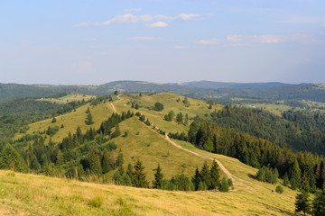 Mountain nature trail among meadows and forest landscape