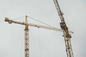 two cranes on a rainy day