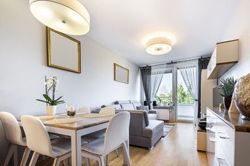 Small apartment - modern interior desugn series