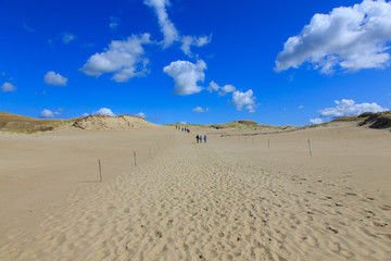 Gray Dunes trail of Kuronian Spit National Park