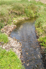 A stream