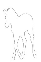 Outline of an african Zebra - digitally handdrawn illustration on white background