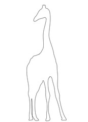 Outline of an african Giraffe - Digitally Hand Drawn Illustration