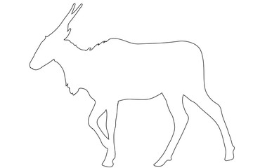 Outline of an african eland antelope - digitally handdrawn illustration on white background