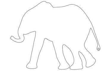 Outline of an african Elephant - digitally handdrawn illustration on white background