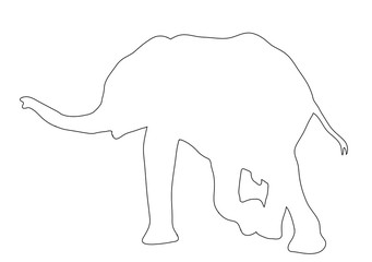 Outline of an african Elephant - digitally handdrawn illustration on white background