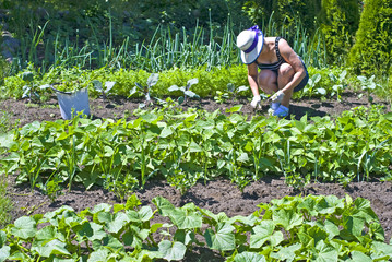 Woman in hat weeding in the garden