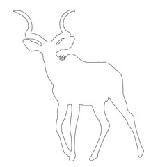 Outline of an african Blue Wildebeest - digitally handdrawn illustration on white background
