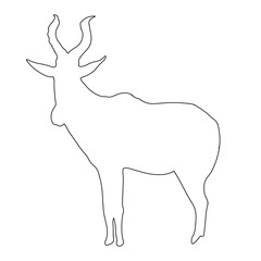 Outline of an african Red Hartebeest - digitally handdrawn illustration on white background