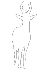 Fototapeta na wymiar Outline of an african Red Hartebeest - digitally handdrawn illustration on white background