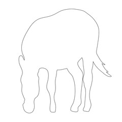 Outline of an african Zebra - digitally handdrawn illustration on white background