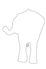 Outline of an african Elephant - digitally handdrawn illustration on white background