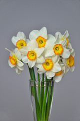 Narcissus spring flowers bouquet yellow white 3