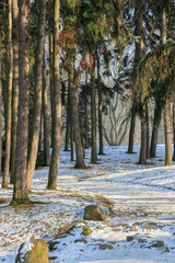 Fototapety na wymiar - Fototapeta24.pl