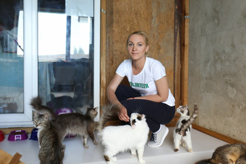 Female volunteer with homeless cats in animal shelter